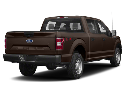 2019 Ford F-150 Platinum Navigation System & Twin Panel Moonroof