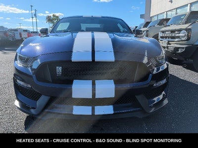 2019 Ford Mustang Shelby GT350 526 HORSEPOWER 6 SPEED MANUAL