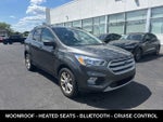 2018 Ford Escape SE 4WD