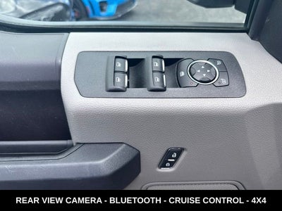 2019 Ford F-150 XL STX APPEARANCE PACKAGE