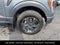 2023 Ford F-150 XLT 5.0 V8 LONG BOX