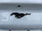 2023 Ford Mustang Mach-E Premium AWD EXTENDED BATTERY