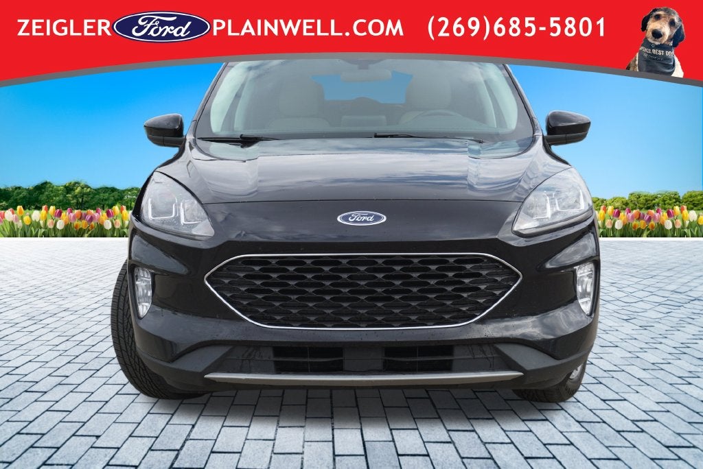 2022 Ford Escape Hybrid SEL