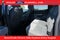 2023 Ford F-150 XLT Crew Cab 4x4 Rear Camera 3.5 Liter Ecoboost