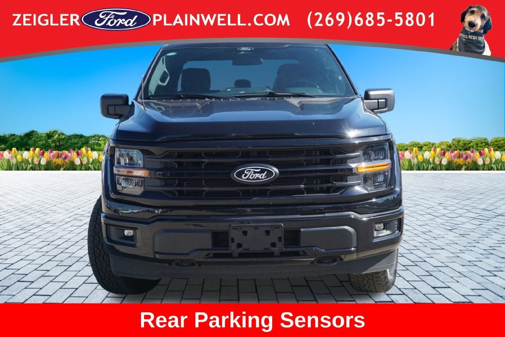 2025 Ford F-150 XLT Black Apoearance Pkg 3.5L Ecoboost Blis Rear Camer