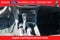 2022 Chevrolet Colorado LT EXT CAB SAFETY AND PREFERRED PKG REAR CAMERA