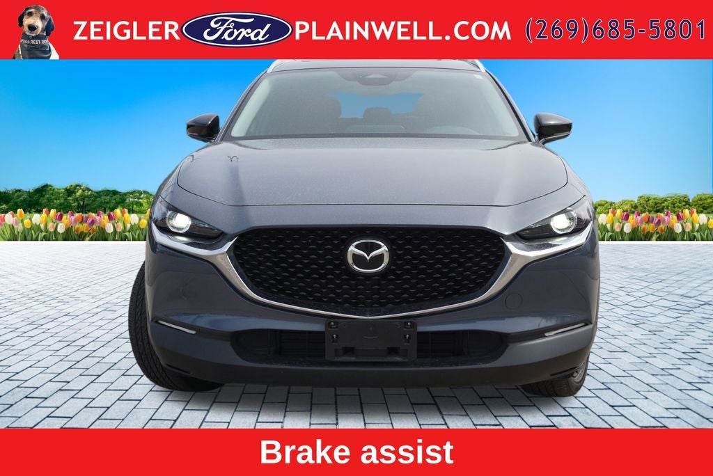 2025 Mazda Mazda CX-30 2.5 S Carbon Edition AWD Power Moonroof Leather Rear Camera