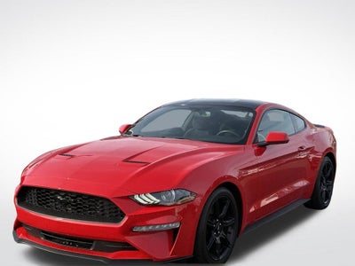 2019 Ford Mustang EcoBoost