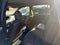 2025 Honda Passport EX-L